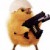 Avatar of Chicken